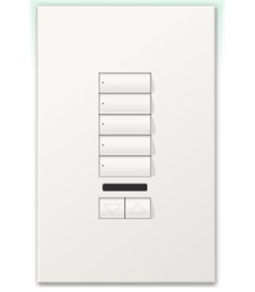 Botonera Homeworks cableada 5 botones con R/L y IR 