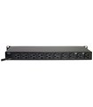 15A Rack Power Distribution (No Surge Protection), 15A Breaker, 10 Rear Outlets, 1RU, 6Ft Cord