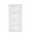 Control Pico Lutron para Iluminación PJ2 4B P02 BatTSW-P02 SW