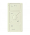 Pico Satin PJ2 3BRL S05 BatTBI-S05 BI