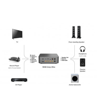 Amplificador Wiim Amp Ultra Color Plateado