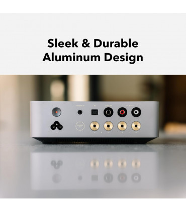 Amplificador WiiM Vibelink