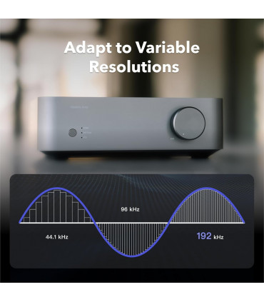 Amplificador WiiM Vibelink