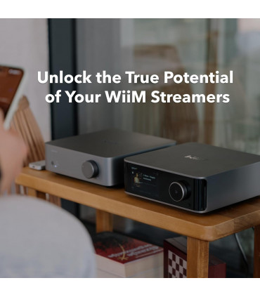 Amplificador WiiM Vibelink