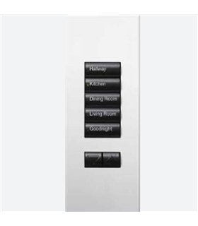 Botonera Homeworks cableada 5 botones con R/L Negra