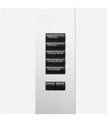 Botonera Homeworks cableada 5 botones con R/L Negra
