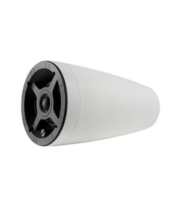 Ps-P43T White EA 45134