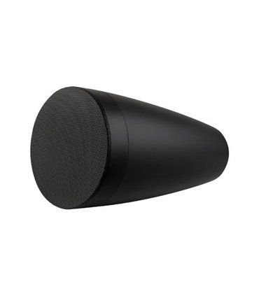 Ps-P43T Black Ea 45138