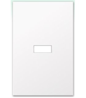 FP GLASS W1