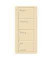 Control Pico Lutron para Iluminación PJ2 4B P02 Bat IV