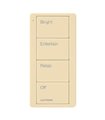 Control Pico Lutron para Iluminación PJ2 4B P03 Bat IV