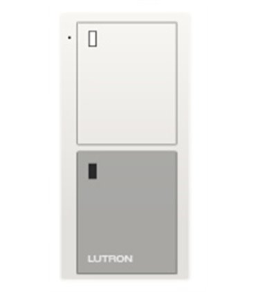 Control Pico wireless 2B Color WG