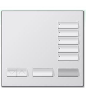Control Inalambrico Lutron homeworks 5 Botones Color SW
